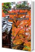 Foglie di autunno del tempio Kenninji Kyoto, Giappone (La bellezza della natura in Giappone Vol. 4)