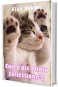 Cute Cats Photos Collection#2