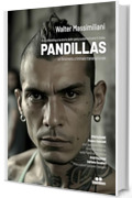 PANDILLAS: Il co-offending e la storia delle gang sudamericane in Italia - un fenomeno criminale transnazionale