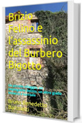 Brizio Felino e l’assassinio del Burbero Bigotto: Un piccolo villaggio, un inspiegabile delitto, un altro giallo bislacco e surreale (Romanzi, Racconti e Storie brevi Vol. 9)