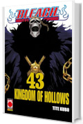 Bleach 43: KINGDOM OF HOLLOWS