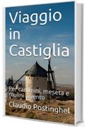 Viaggio in Castiglia: Per cammini, meseta e mulini a vento