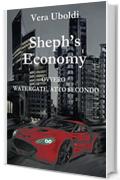 Sheph's Economy: ovvero Watergate, atto secondo
