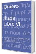 Omero Iliade Libro VI: Introduzione e traduzione di Riccardo Guiffrey. Note tradotte e adattate dai commentari di G. S. Kirk e W. Leaf.