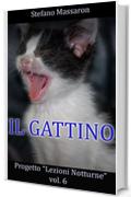 Il Gattino (Progetto "Lezioni Notturne" Vol. 6)