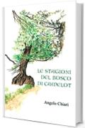 Le stagioni del bosco di Camelot