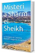 Misteri a Sharm el Sheikh: Le indagini di Caterina Martelli, stagione 3 capitolo 2 (Le indagini di Caterina Martelli terza stagione)