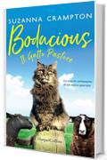 Bodacious - Il gatto pastore