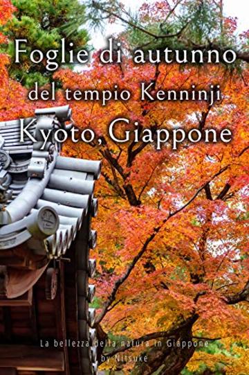 Foglie di autunno del tempio Kenninji Kyoto, Giappone (La bellezza della natura in Giappone Vol. 4)