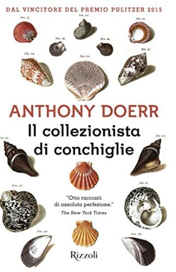 Il collezionista di conchiglie